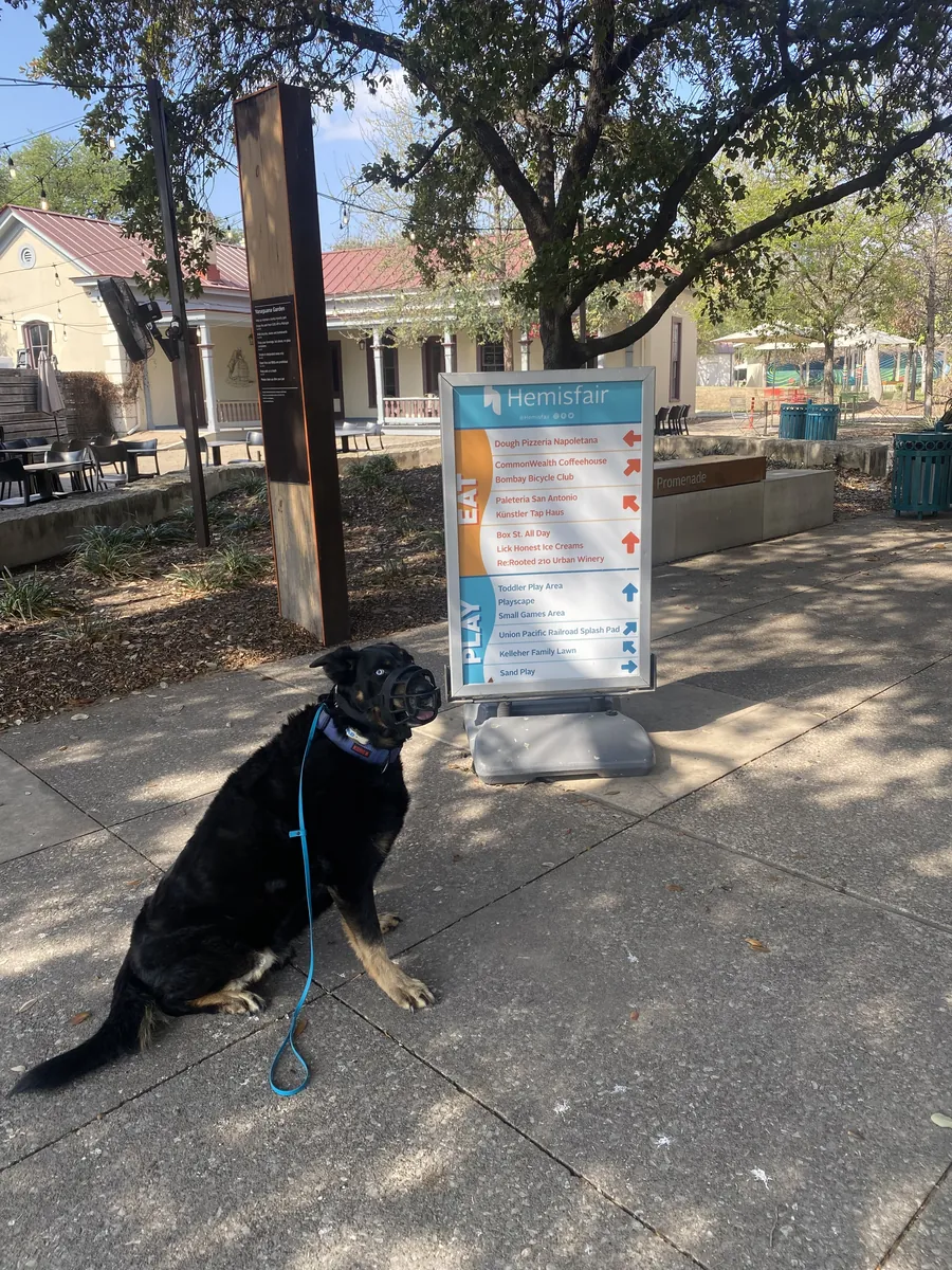 A reactive dog holding a calm sit beside a park sign