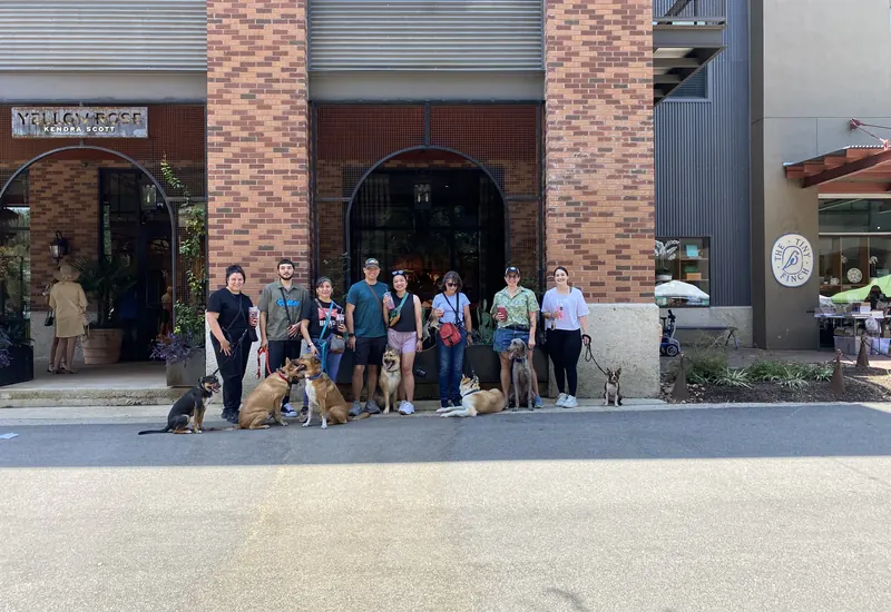 A group class out together in public with their dogs